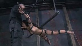 Exotic beauty with big fake boobs is immobilized and sucks master's dick