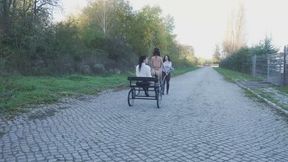 Skinny pony on horse-drawn carriage - wmv 1080p