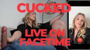 Cucked Live On Factime