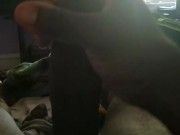 Late Morning cum