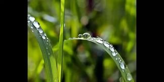 Bangla chodachudir golpo real female voice