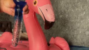 sexy play with inflatable flamingo and poping
