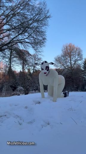 Snow Cow