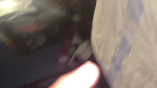 Welcome to the Carbaleon96 channel, I hope you enjoy my content