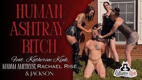 Human Ashtray Bitch