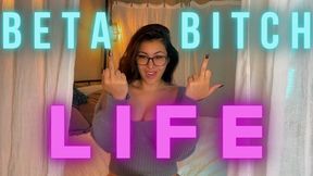 Beta Bitch Life 1080p mp4