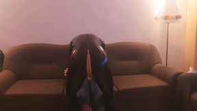 Puppy gets fucked by horny cosplay Spiderman