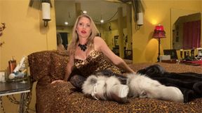 You're Nothing But A Cuckold Slave (SD)