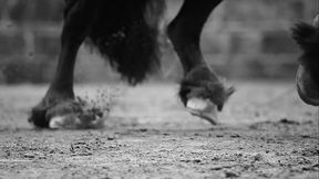 Maluma - Feid - Mojando Asiento