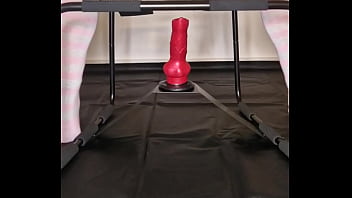 femboy knot fucked by rex on erotic chair