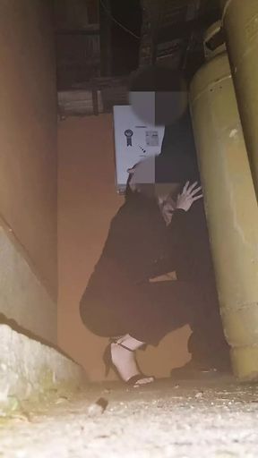 Company Year-End Party.A married woman kneels in a corner to suck cock.