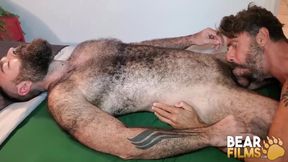 BEARFILMS hairy gay men Rob Hairy and Ale Tedesco bareback