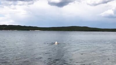 Perverted straight bloke is stroking his cock on a public beach