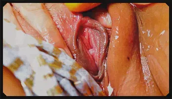 Wearing mini bikini got Aya Sakuraba hot and horny