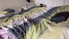 Lucky Scaffolders Gets to Watch Through the Window