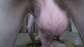 POV Femboy 69 Bottom Precum Drip Teabag Cock Gush Destroyed Sack Closeup