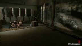 Horny Adult Video Electricity Play Hottest With Lily Labeau And Princess Donna