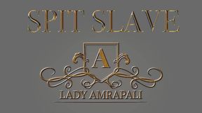 SPIT SLAVE Total lenghts 5:39 minutes Spitting Slave Bdsm ?? Spucke Anspucken Sklave LADYAMRAPALI Herrin Mistress Domina