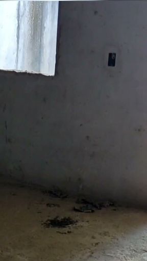 Girl Tight To Pee Enters Abandoned Building And Has Sex With Beggar With A Big Dick   Clip 1