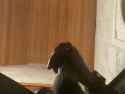 MASTER BULLY KATO IS BACK ! SUBSCRIBE  LIKE COMMENT AND DONATE (