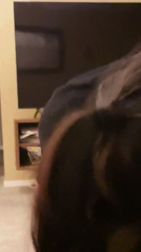 Wife Gets Creampie From Neighbor