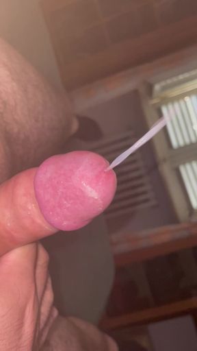 White cock tortured