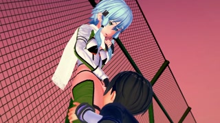 Sword Art Online Kirito x Sinon Hentai