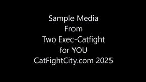 Sample for Customs wmv