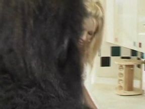 Barnyard Perversions