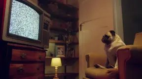 Benefit Monkey's wife gives the BEST blowjob - amateur cum compilation