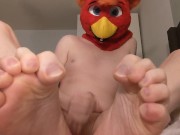 Bird Fursuiter showing off cute feet while fucking and cumming inside Bad Dragon Twitch Penetrable