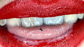 A small adventure of a tiny in the mouth of a giantess with red lips