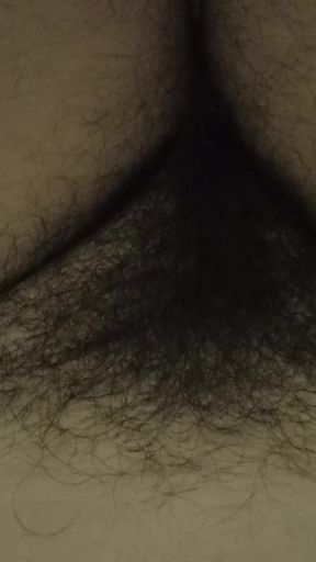 Hairy Pussy and Bellybutton