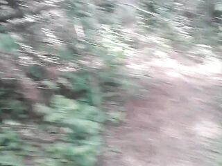 Off the Path: A Quick Walk in the Woods