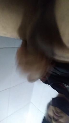 Jaladas