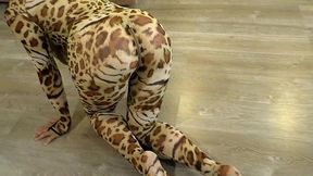 very hot!!! after the party, a beauty in a leopard bodysuit passionately fucks and sucks a dick