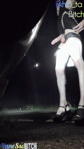 2 Transvestites Offered in the Forest. Waiting for Beautiful Cocks in a Parking Lot. Night Show