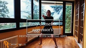 Rosy domestic aggressor's destruction with martial arts