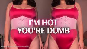 I'm Hot, You're Dumb