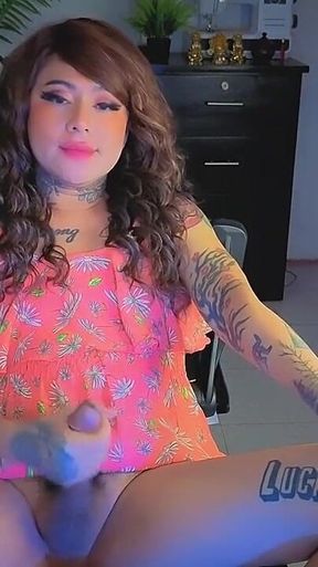 Stream 25 Jul 2025