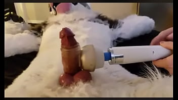 Furry cums 7th time in a row with wand