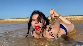 Hogtied In The Shallows