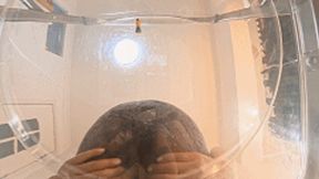 4K RUIRUI's buttocks were flattened and she farted three times