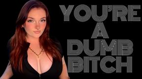 You're a Dumb Bitch - Homewreck Mind Fuck Captivate Goddess Worship Beta Loser Verbal Humiliation Degradation