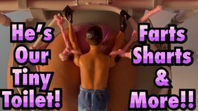 He's Our Tiny Toilet - Eden Hope - Ditria Rose