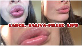 large, saliva-filled lips