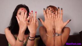 Comparing Our Soft Hands - 4K MP4
