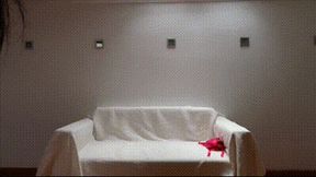 Trained to be a sissy whore