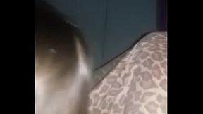 novia argenta me chupa la pija