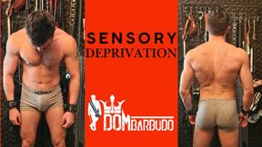 HANDJOB UNDER SENSORY DEPRIVATION HOODED AND GAGGED CONTROL (720P QUICK FIX)